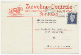 Firma Briefkaart Den Haag 1949 - Zuiveline / Leeuw - Non Classés