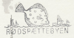 Postcard / Postmark Denmark Fish - Plaice - Pesci