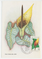 Maximum Card Nicosia 1982 Arum Dioscoridis - Sonstige & Ohne Zuordnung