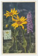 Maximum Card Belgium 1950 Flower - Arnika - Autres & Non Classés