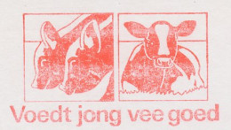 Meter Cut Netherlands 1988 Cow - Calf - Hoftiere