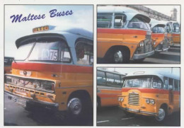 MALTESE BUS, MULTIVUE COULEUR   REF 16877 - Buses & Coaches