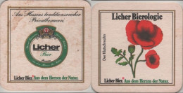 5005997 Bierdeckel Quadratisch - Licher - Beer Mats
