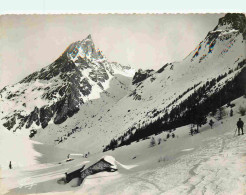 73 - Savoie - Le Vallon De Lorgère Et L'Aiguille Doran 3049 M - Animée - Carte Dentelée - CPSM Grand Format - Voir Scans - Other & Unclassified