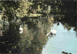 92 - Rueil-Malmaison - Notre Dame Du Lac - Cygnes - CPM - Voir Scans Recto-Verso - Rueil Malmaison