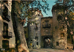 66 - Céret - La Porte De France  Tours Des Anciens Remparts - CPM - Voir Scans Recto-Verso - Autres & Non Classés