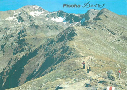 Suisse - GR Grisons - Davos - Pischa - Wanderweg Pischa - Hùreli - Blick Aufs Pischahorn - CPM - Carte Neuve - Voir Scan - Autres & Non Classés