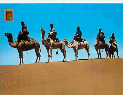 Maroc - Maroc Typique - Caravane De Meharisas De M'Hamid - CPM - Voir Scans Recto-Verso - Sonstige & Ohne Zuordnung