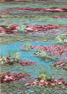 Art - Peinture - Tessa Traeger - Computerized Vegetable Lily Pond - Carte Neuve - CPM - Voir Scans Recto-Verso - Peintures & Tableaux