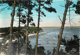 33 - Bassin D'Arcachon - Echappée Sur Le Bassin - CPM - Voir Scans Recto-Verso - Andere & Zonder Classificatie