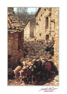 Animaux - Moutons - Troupeau De Moutons Parcourant Le Village - Vieilles Pierres - CPM - Voir Scans Recto-Verso - Other & Unclassified