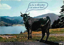 Animaux - Vaches - Gerardmer - Carte Humoristique - Flamme Postale - CPM - Voir Scans Recto-Verso - Kühe