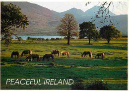 Animaux - Chevaux - Irlande - Chevaux En Pature - Jument Et Son Poulain - CPM - Voir Scans Recto-Verso - Chevaux