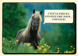 Animaux - Chevaux - CPM - Voir Scans Recto-Verso - Paarden