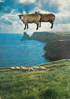 Animaux - Moutons - CPM - Voir Scans Recto-Verso - Autres & Non Classés