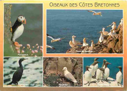 Animaux - Oiseaux - Oiseaux Des Cotes Bretonnes - Multivues - CPM - Voir Scans Recto-Verso - Oiseaux