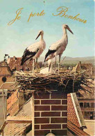 Animaux - Oiseaux - Cigognes - Nid De Cigognes - CPM - Voir Scans Recto-Verso - Oiseaux
