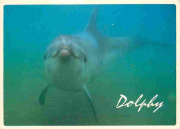 Animaux - Dauphins - Dolphy Sur La Cote Vermeille - CPM - Voir Scans Recto-Verso - Dolphins