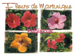 Martinique - Fleurs De Martinique - Hibiscus - Multivues - CPM - Voir Scans Recto-Verso - Autres & Non Classés