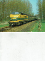 BELGIQUE SNCB-NMBS /LOCALITE VIJFHUIZEN LOCOMOTIVE DIESEL-ELECTRIQUE BB SERIE 62 VOIR VERSO /TR15 - Trains