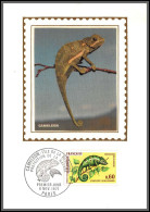 56183 N°1692 Caméléon De Le Reunion (chameleon) France Carte Maximum (card) Fdc édition - 1970-1979