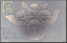 49508 N°111 Blanc Souhaits De Bonne Année 1903 France Ange Anges Angelot Carte Maximum (card) Timbres Gaufrée Embossée - ...-1929