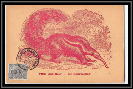 49177 N°49 Fourmilier Ant Bear Anteater Cad 1938 Faune Guyane Francaise Carte Maximum (card) - Briefe U. Dokumente
