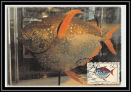 49146 N°104 Madeire Poissons (Fish) 1985 Portugal Carte Maximum (card) - Poissons