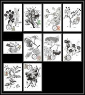 57082 TAXE N°53/61 Flore Baie Sauvage Flowers Flower Fleurs) édition Pujol - Maximum Cards