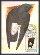 56936 N°895 Martinet Chaetura Thomensis Aves Oiseaux (birds) Sao S Tome E Principe Carte Maximum (card) Fdc 1983 - Sao Tome En Principe