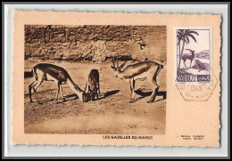 56792 N°177 Les Gazelles Du Maroc Dac Haxagonal Violet 1949 Maroc Carte Maximum (card) édition - Lettres & Documents