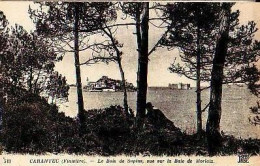 Carantec   P14   CPA 9X14           Le Bois De Sapins, Vue Sur La Baie De Morlaix - Carantec