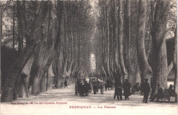 FR66 PERPIGNAN - Brun - Les Platanes - Animée  - Belle - Perpignan