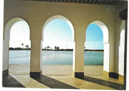 Marrakech Le Bassin De La Ménara - Tunisie