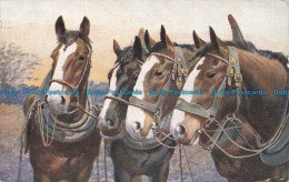 R671392 Horses. James Henderson. Series. J. 9. No. 3151 - Monde