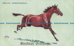 R671393 Birthday Greetings. English Thoroughbred. The Alpha. No. 3223 - Monde