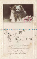 R669978 A Birthday Greeting. Two Cats. RP. 1922 - Monde