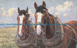 R671405 Horses. James Henderson. Series. J. 9. No. 3154. The Arc Engraving - Monde