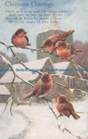 R670761 Christmas Greetings. Tuck. Oilette. No. 7489 - Monde