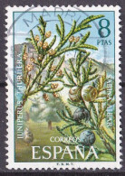 (Spanien 1972) Wacholder (Juniperus) O/used (A5-19) - Heilpflanzen