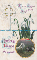 R670765 Easter Peace Be Yours. Valentine Series - Monde