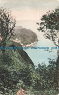 R670769 Clovelly. View From Hobby Drive. F. Frith. No. 12341. 1905 - Monde