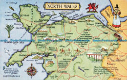 R671472 North Wales. J. Salmon - Monde