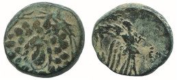 AMISOS PONTOS 100 BC Aegis With Facing Gorgon 7g/21mm GRIECHISCHE Münze #NNN1567.30.D.A - Greek