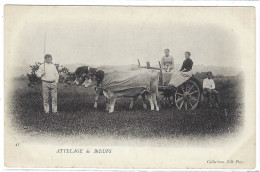 AGRICULTURE - ATTELAGE - Attelage De BOEUFS - Ed. Coll. ND. Phot. - Equipaggiamenti