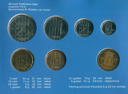 NIEDERLANDE NETHERLANDS 1989 MINT SET 6 Münze + MEDAL #SET1107.7.D.A - Jahressets & Polierte Platten