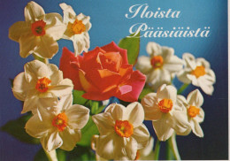 FLOWERS Vintage Postcard CPSM #PAR048.A - Fiori