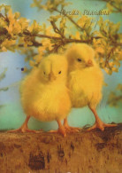 OSTERN HUHN EI Vintage Ansichtskarte Postkarte CPSM #PBO695.A - Easter