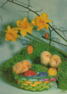 OSTERN HUHN EI Vintage Ansichtskarte Postkarte CPSM #PBO595.A - Easter