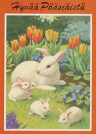 PASQUA CONIGLIO Vintage Cartolina CPSM #PBO558.A - Easter